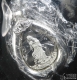 Lot395-21: 鉑金觀音吊墜 造幣廠原封